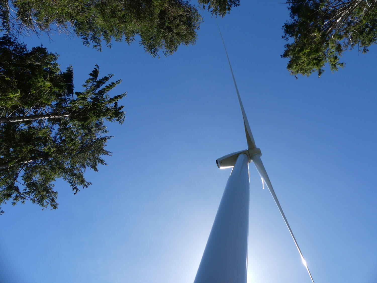 éoliennes en forêt