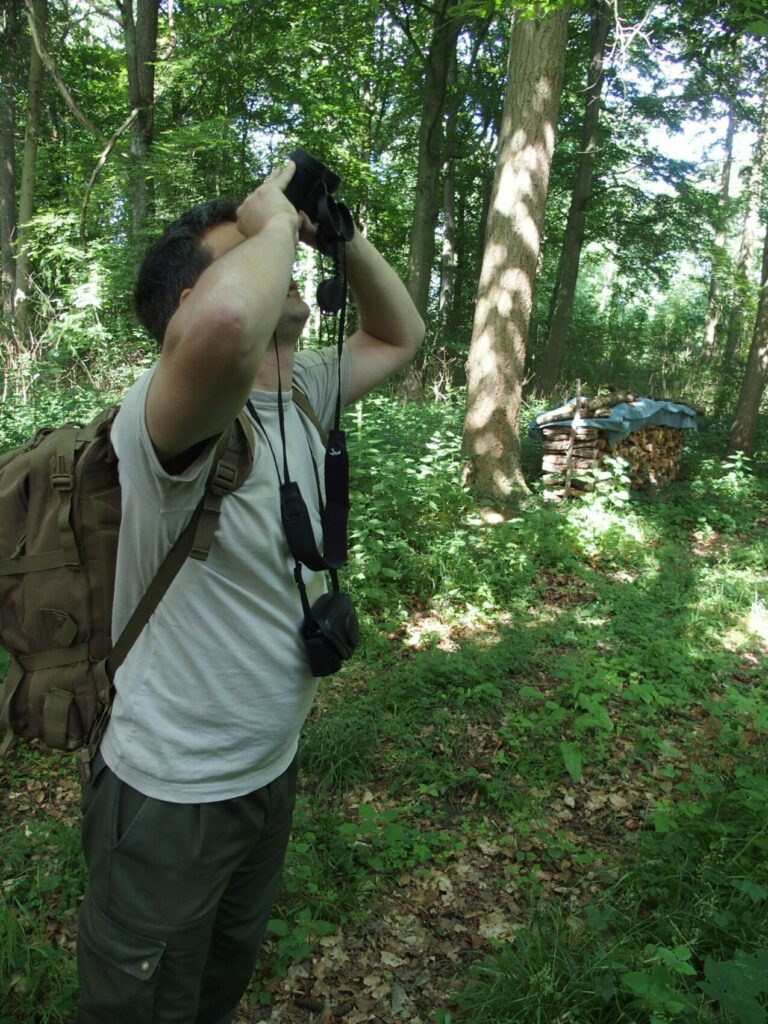 Correspondant Observateur