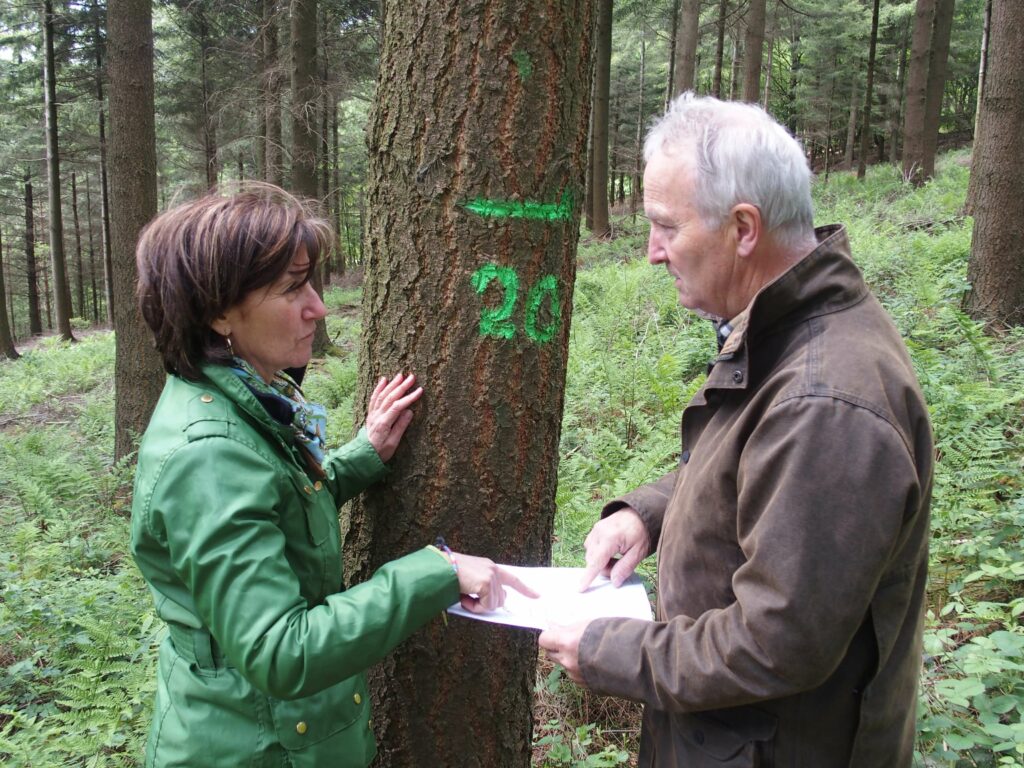 Toute une équipe de forestiers volontaires expérimentés. Coach forestier.