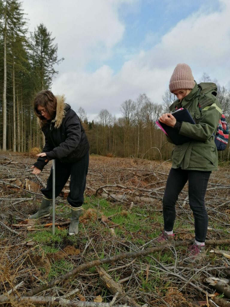 Victoria B et Victoria R, stagiaires à la SRFB en train de prospecter une parcelle pour les Arboretums