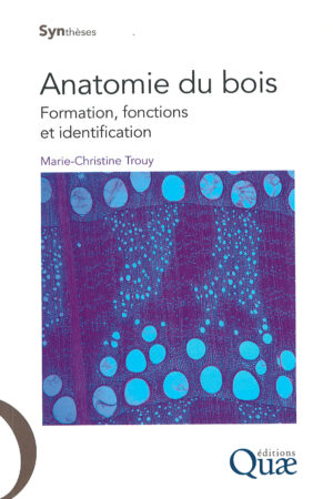 Anatomie du Bois