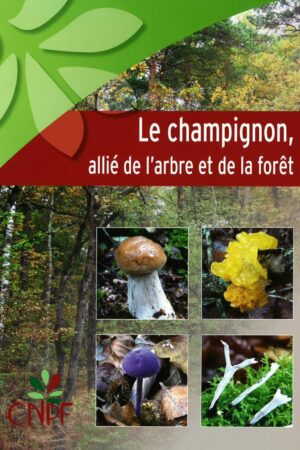 Le champignon, allié de l’arbre et de la forêt