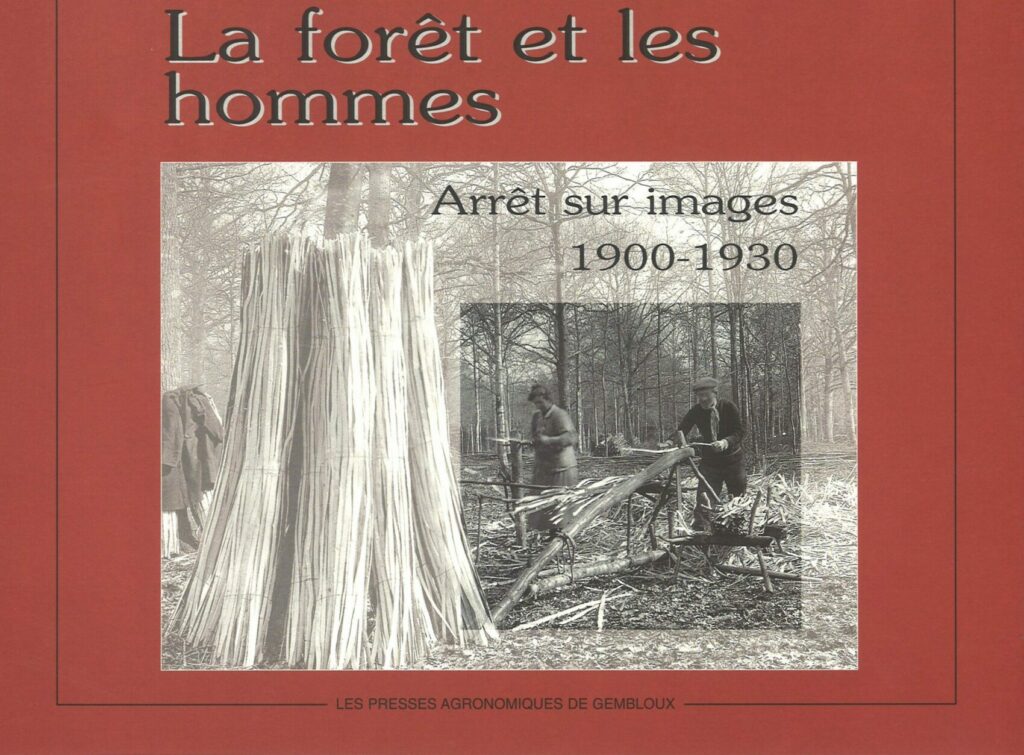 La forêt et les hommes