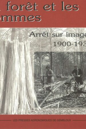 La forêt et les hommes