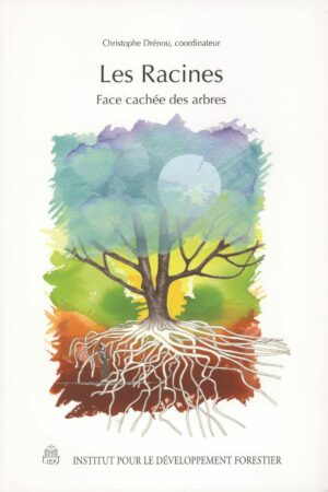 Les racines, face cachée des arbres