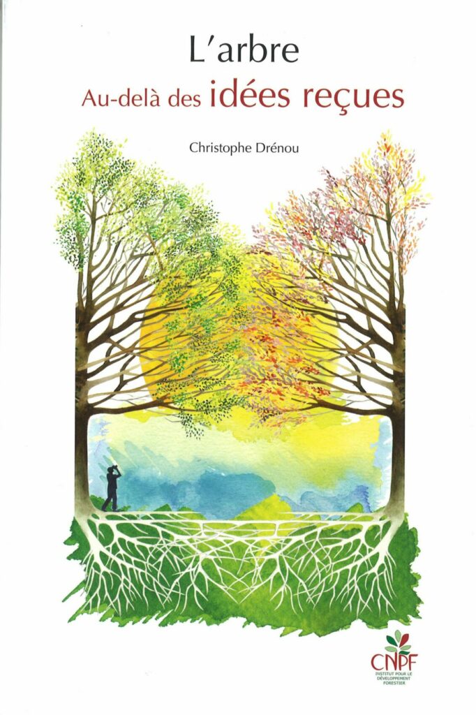 L’arbre