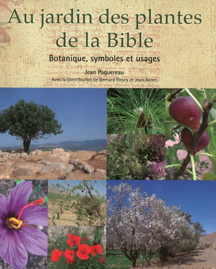 Au jardin des plantes de la Bible