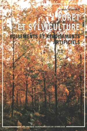 Forêt et sylviculture - Boisements et reboisements artificiels