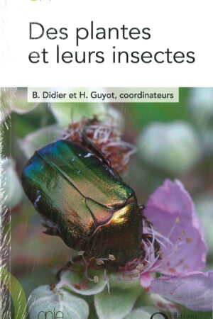 Des plantes et leurs insectes