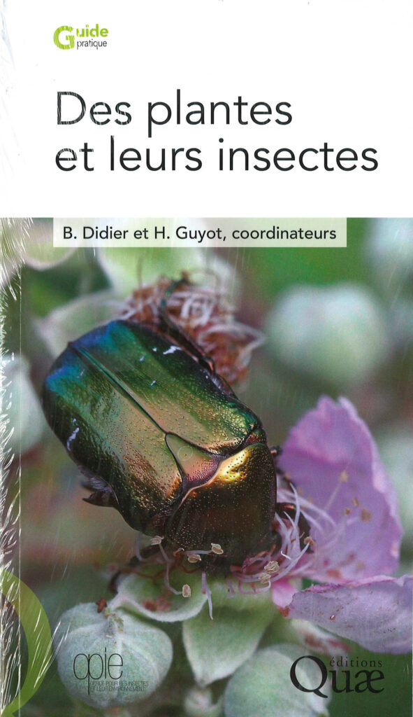 Des plantes et leurs insectes