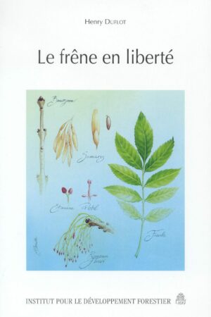 Le frêne en liberté