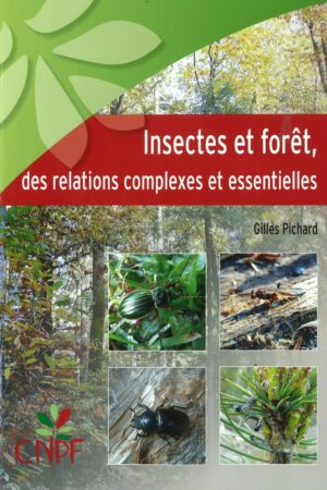 Insectes et forêt