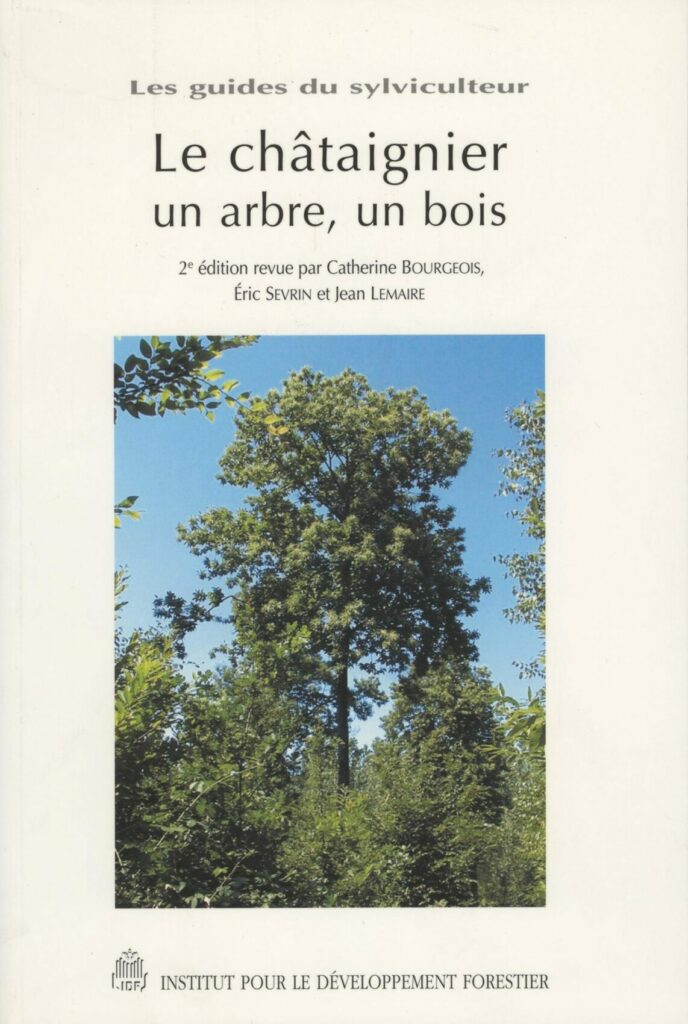 Le châtaignier