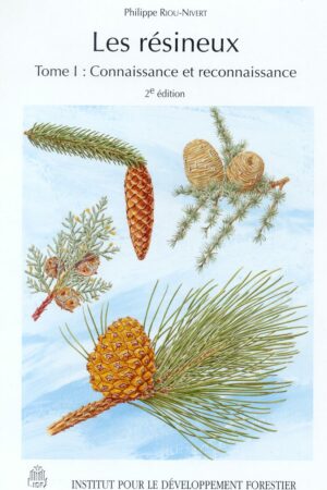 Les résineux - Tome 1 : connaissance et reconnaissance