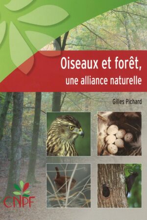 Oiseaux et forêt, une alliance naturelle