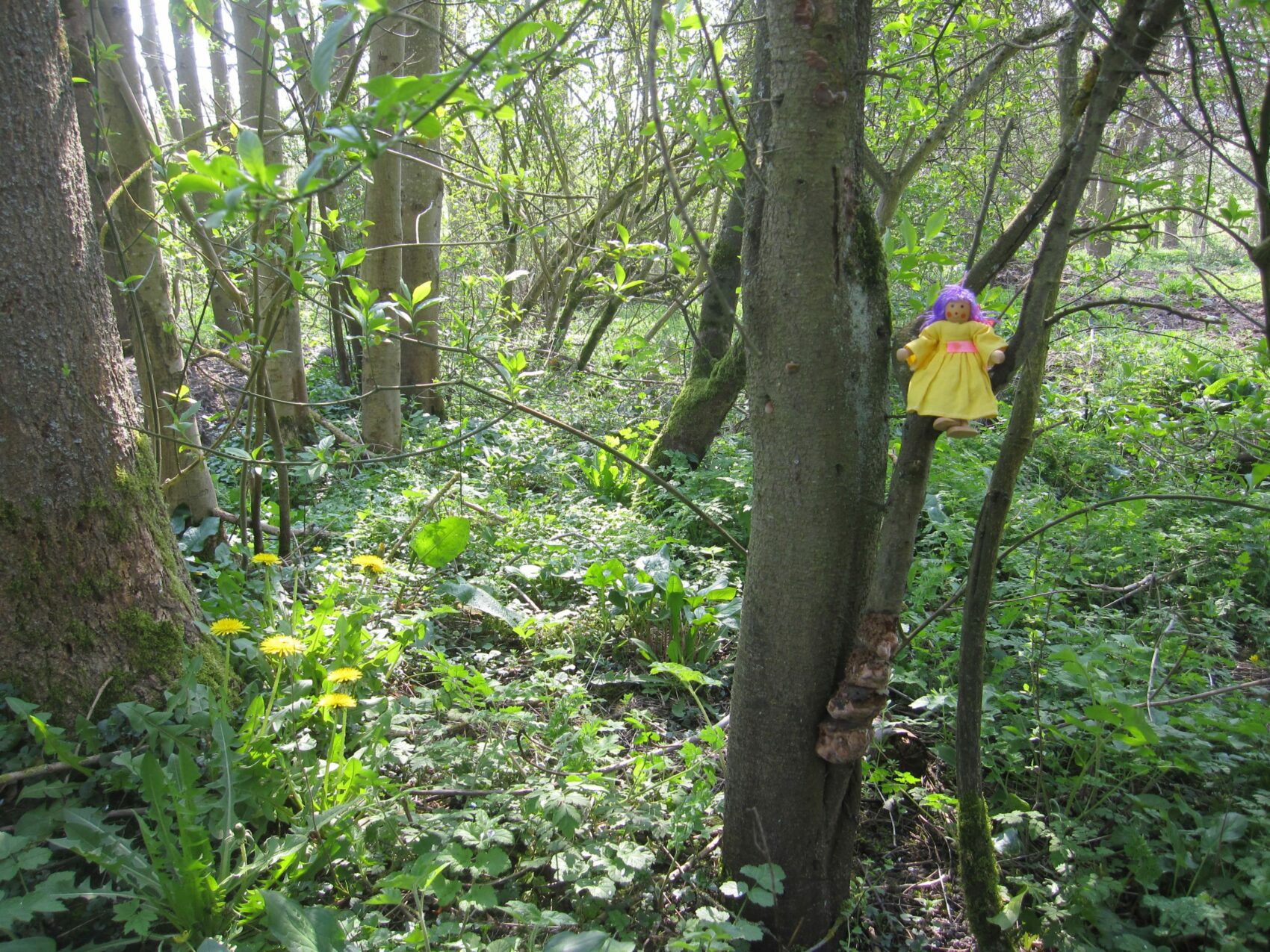 Vivants à tous les étages