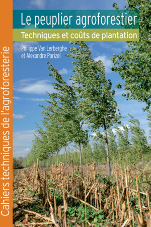 Le peuplier agroforestier - Techniques et coûts de plantation