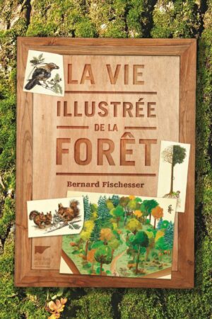 La Vie illustrée de la forêt