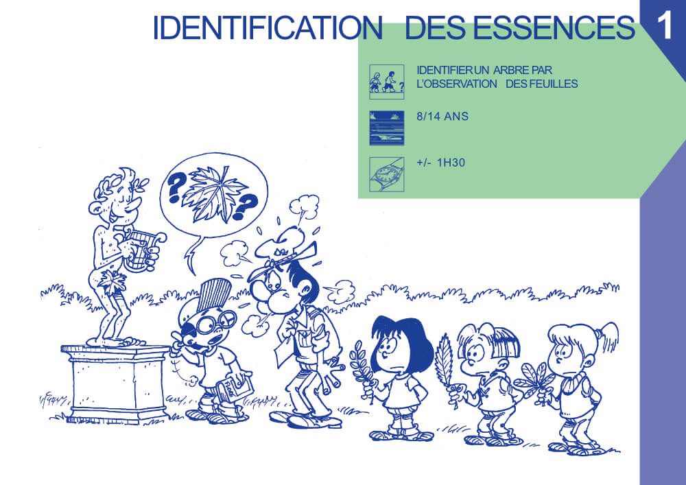 Le carnet du forestier - Identification des essences