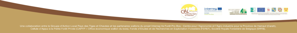 pied - les maisons en bois commencent ici