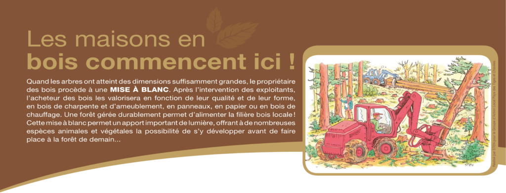 les maisons en bois commencent ici