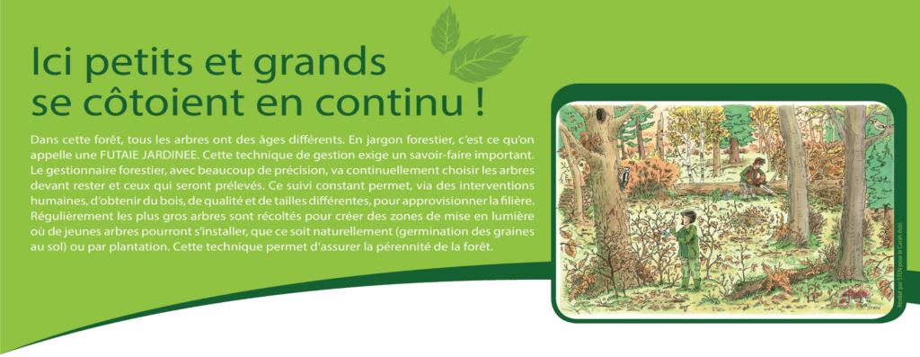 Ici petits et grands se côtoient en continue