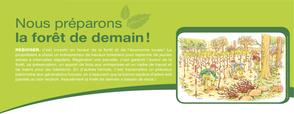 Nous préparons la forêt de demain