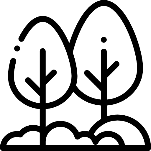 Dessin de plusieurs arbres géré par un propriétaire