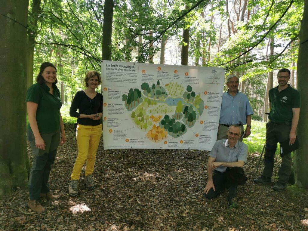 Forêt mosaïque avec Céline Tellier
