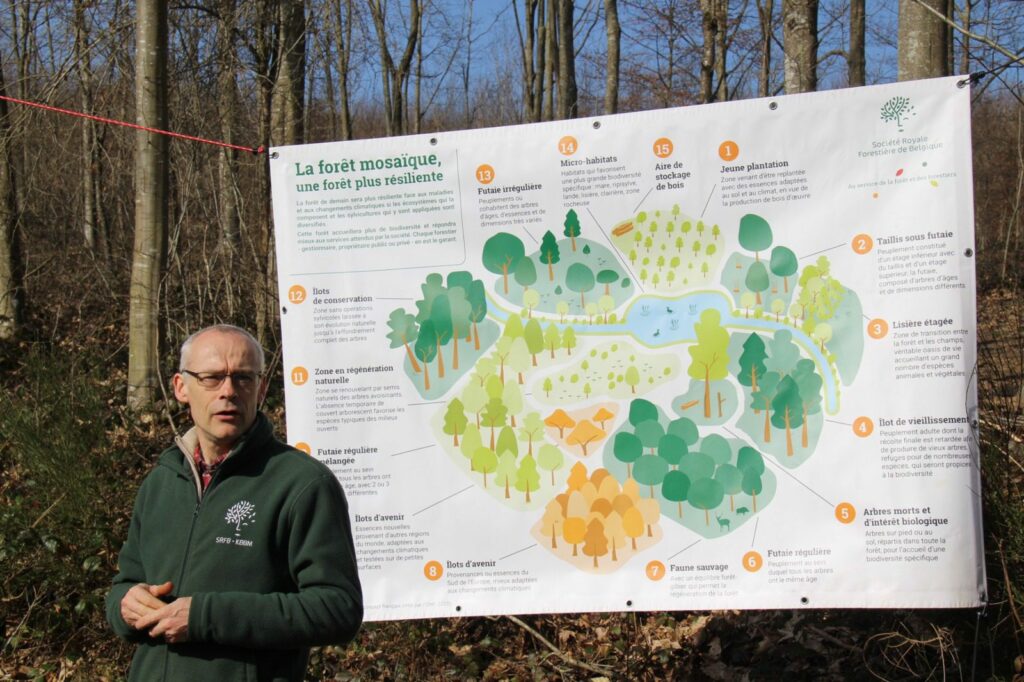 Philippe De Wouters explains the mosaic forest