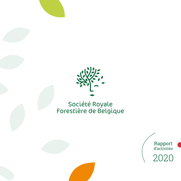 rapport annuel 2020