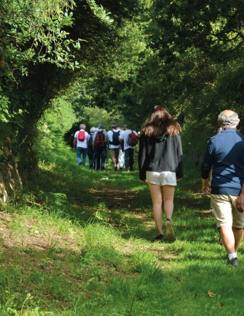 forest friends - cover silva 3 2022