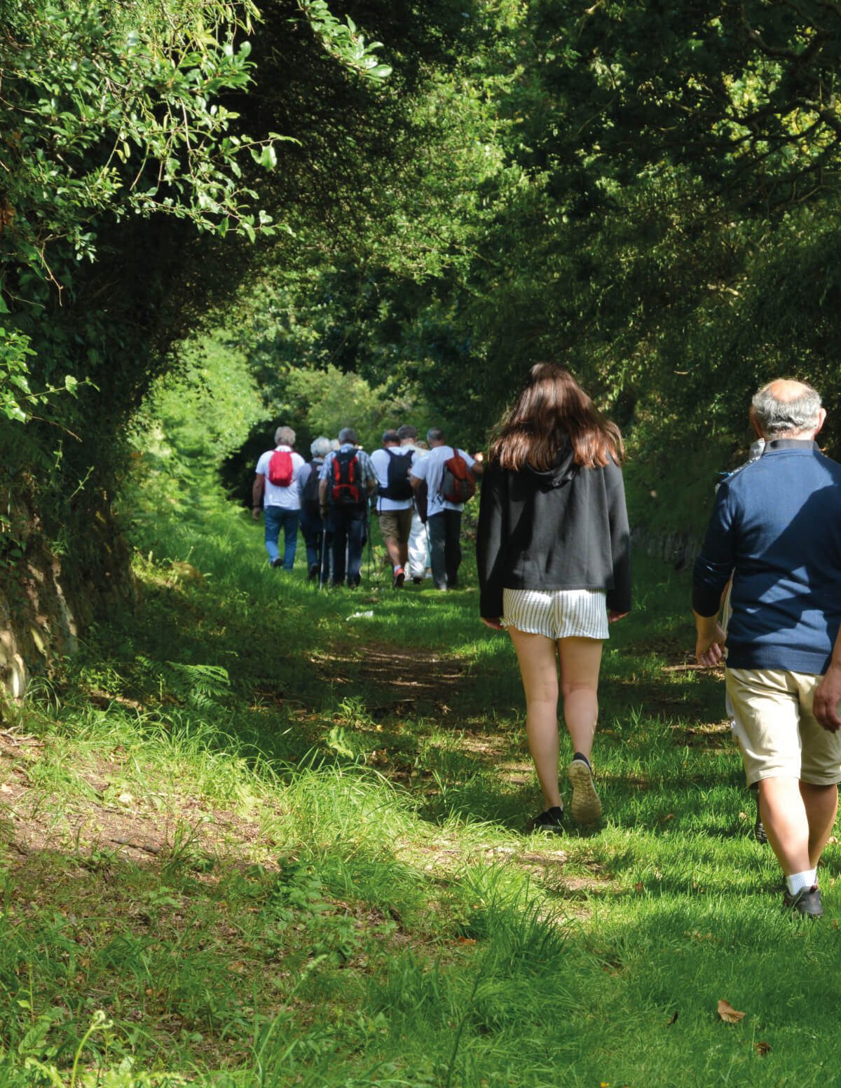 forest friends - cover silva 3 2022