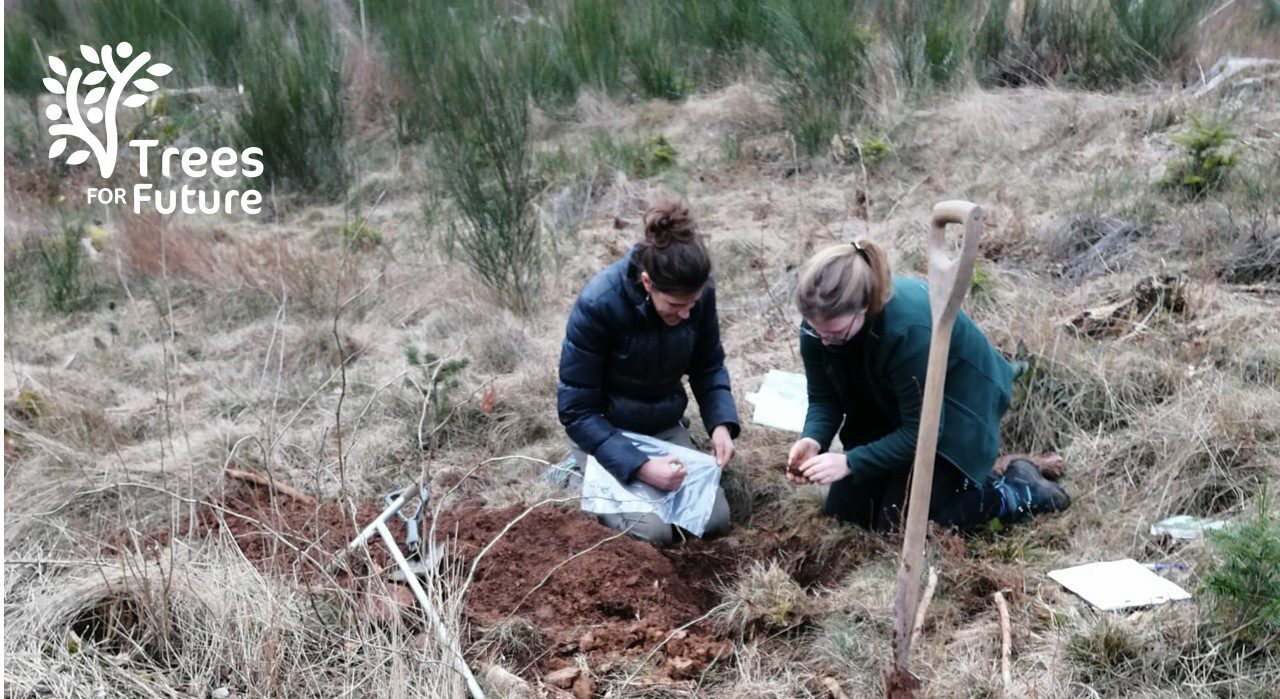 Trees for Future - sols