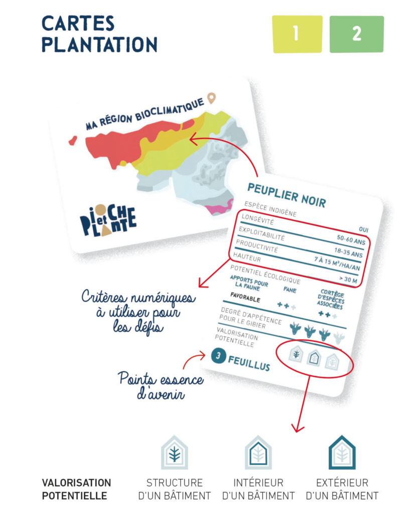 carte - Pioche et Plante