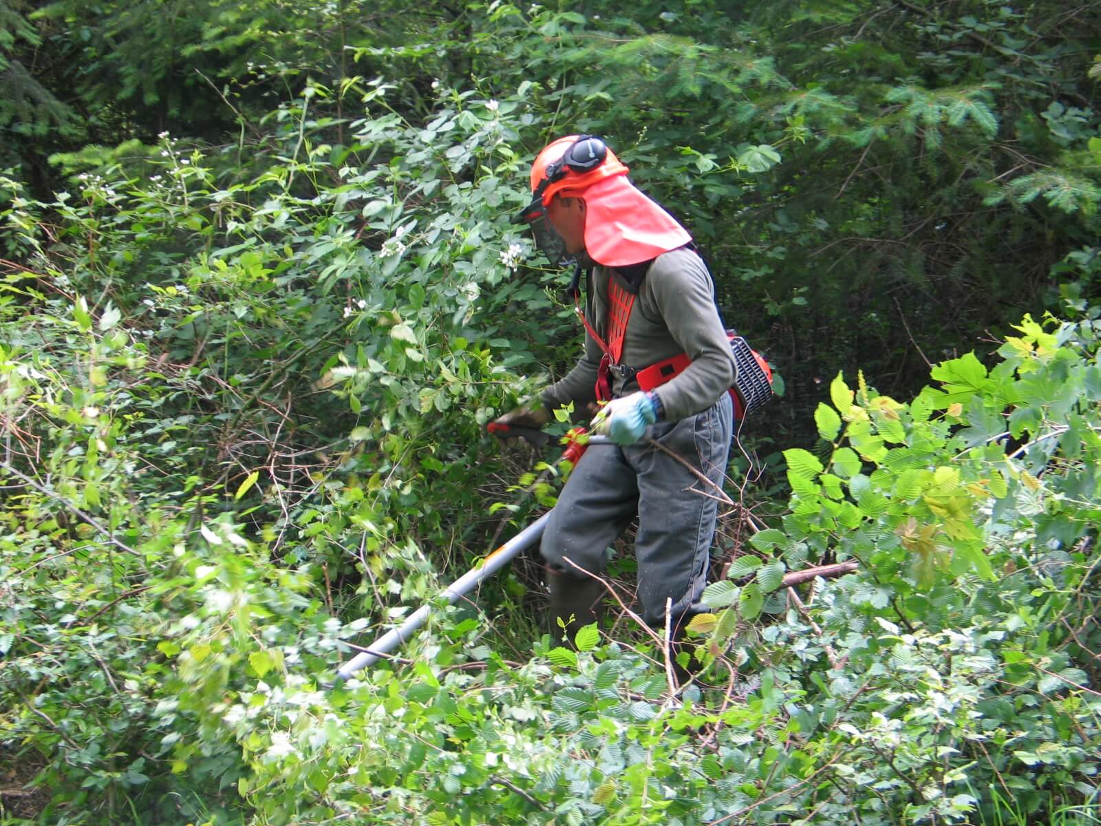 Dégagement de cloisonnement
