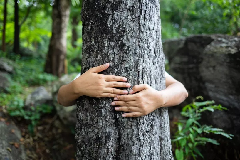 Personne réalisant un câlin à un arbre