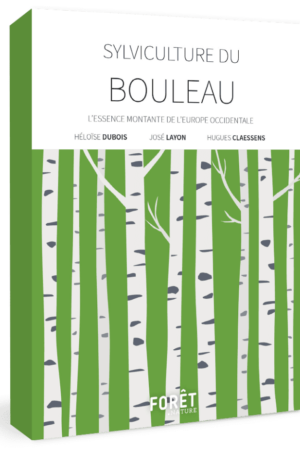 Sylviculture du bouleau - L’essence montante de l’Europe occidentale
