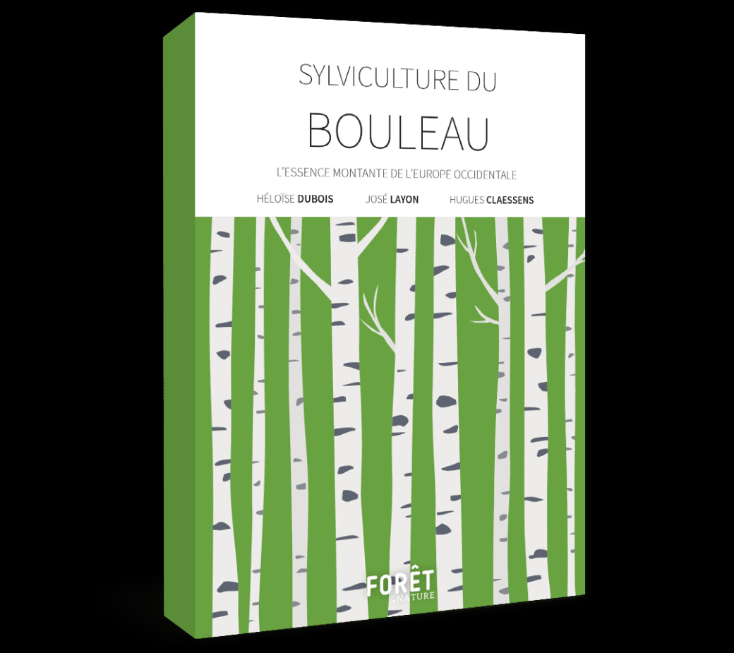 Sylviculture du bouleau - L’essence montante de l’Europe occidentale