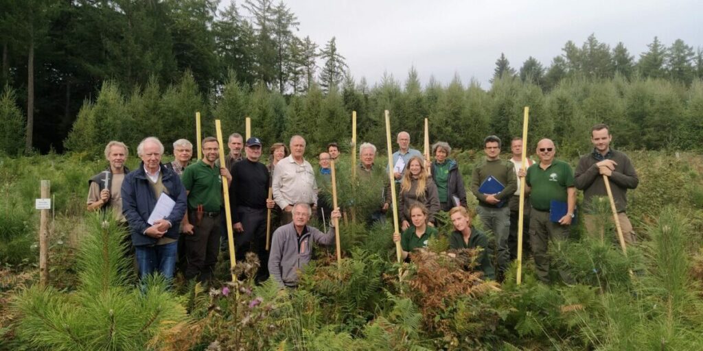 group volontaire trees for future