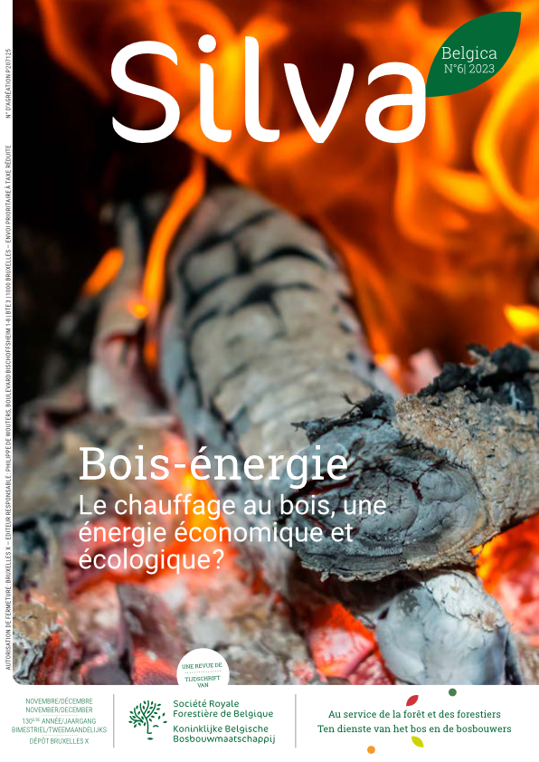 Silva Belgica 6 2023