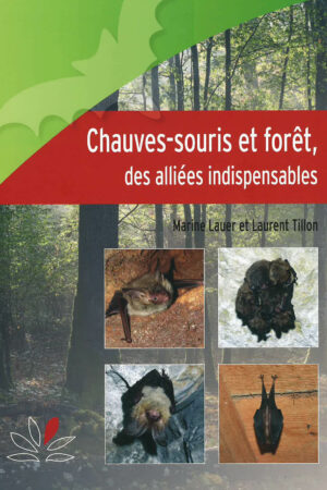 Chauves-souris et forêt