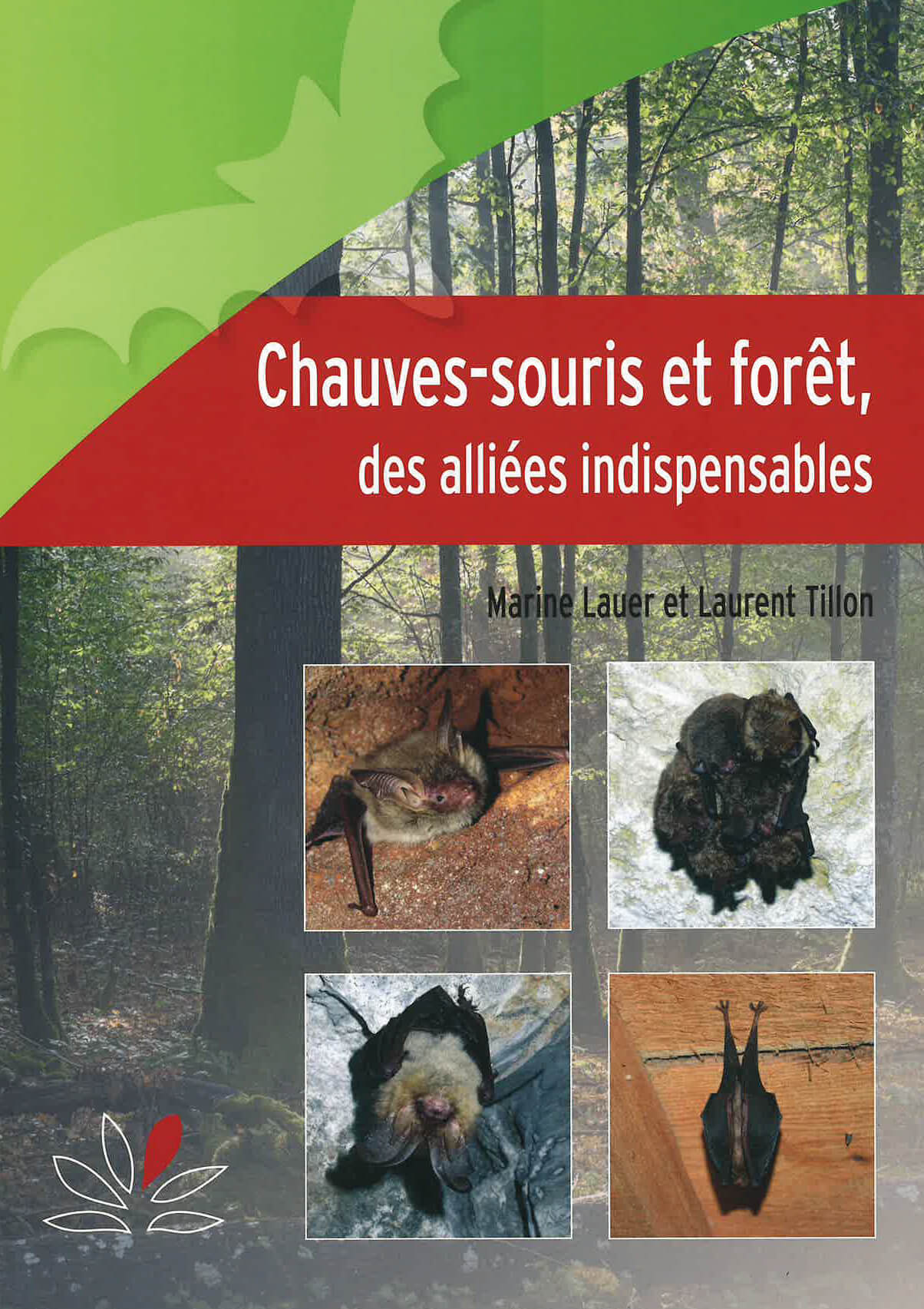 Chauves-souris et forêt