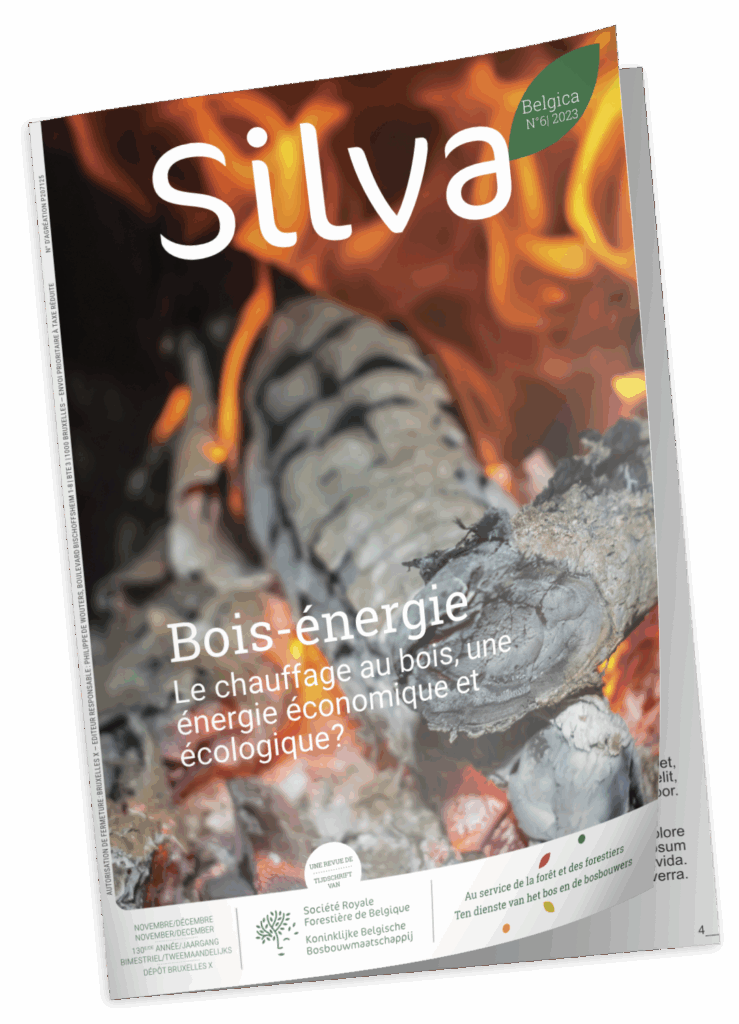 Silva Belgica 6 2023