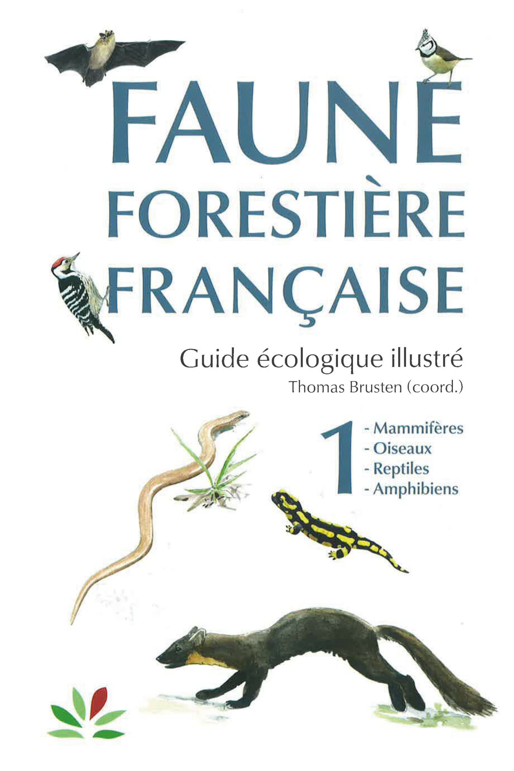 Faune forestière