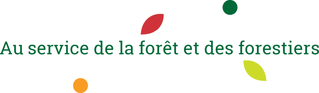 Au service de la forêt et des forestiers