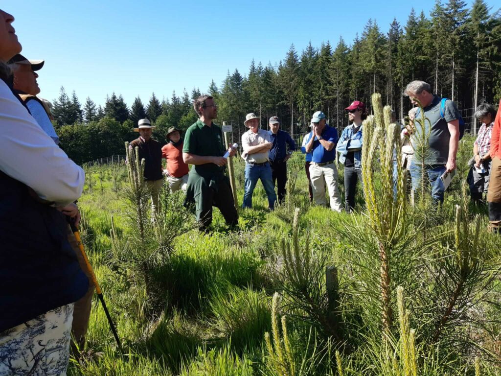 SilvaForm - Formation