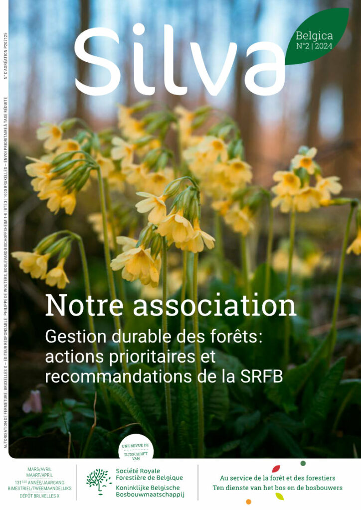 Silva Belgica 2/2024