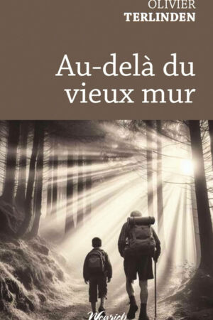 Couverture du livre : au-delà du vieux mur
