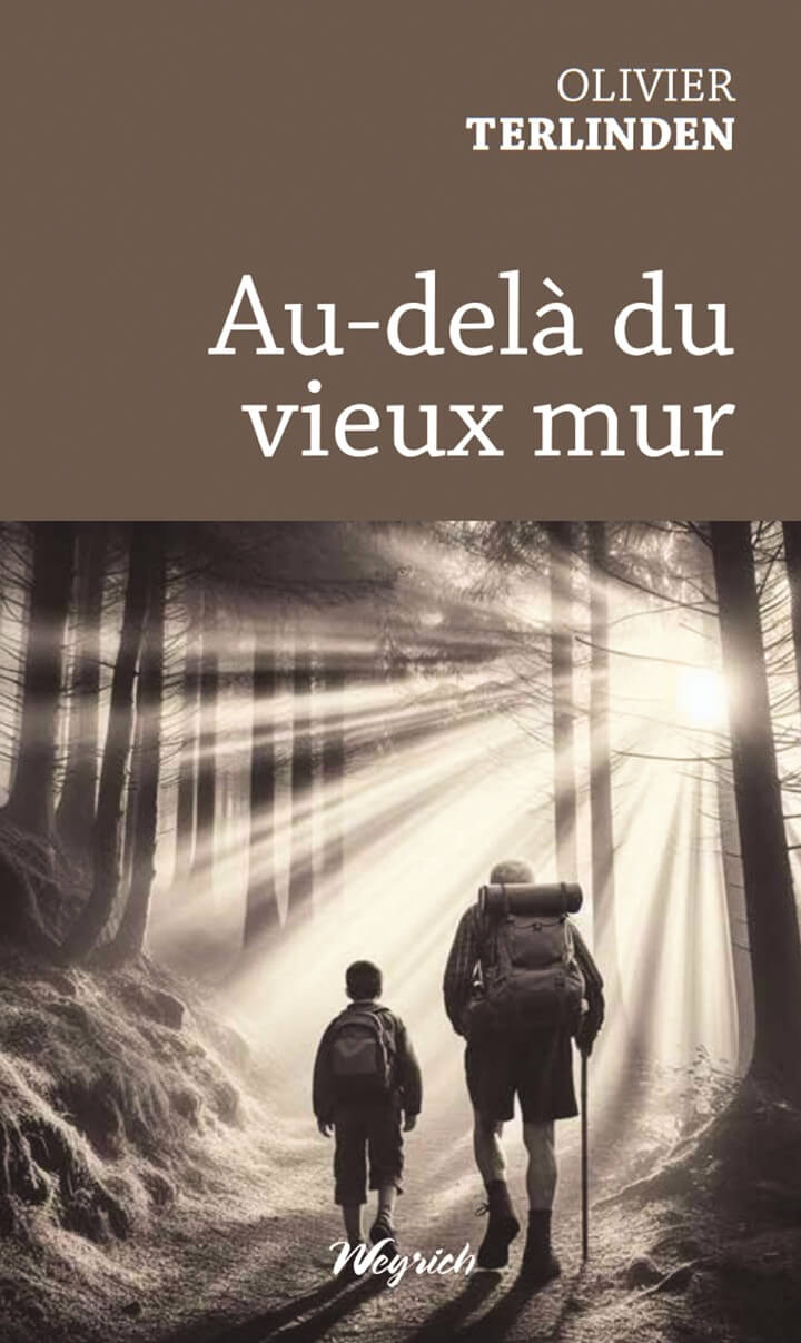 Couverture du livre : au-delà du vieux mur